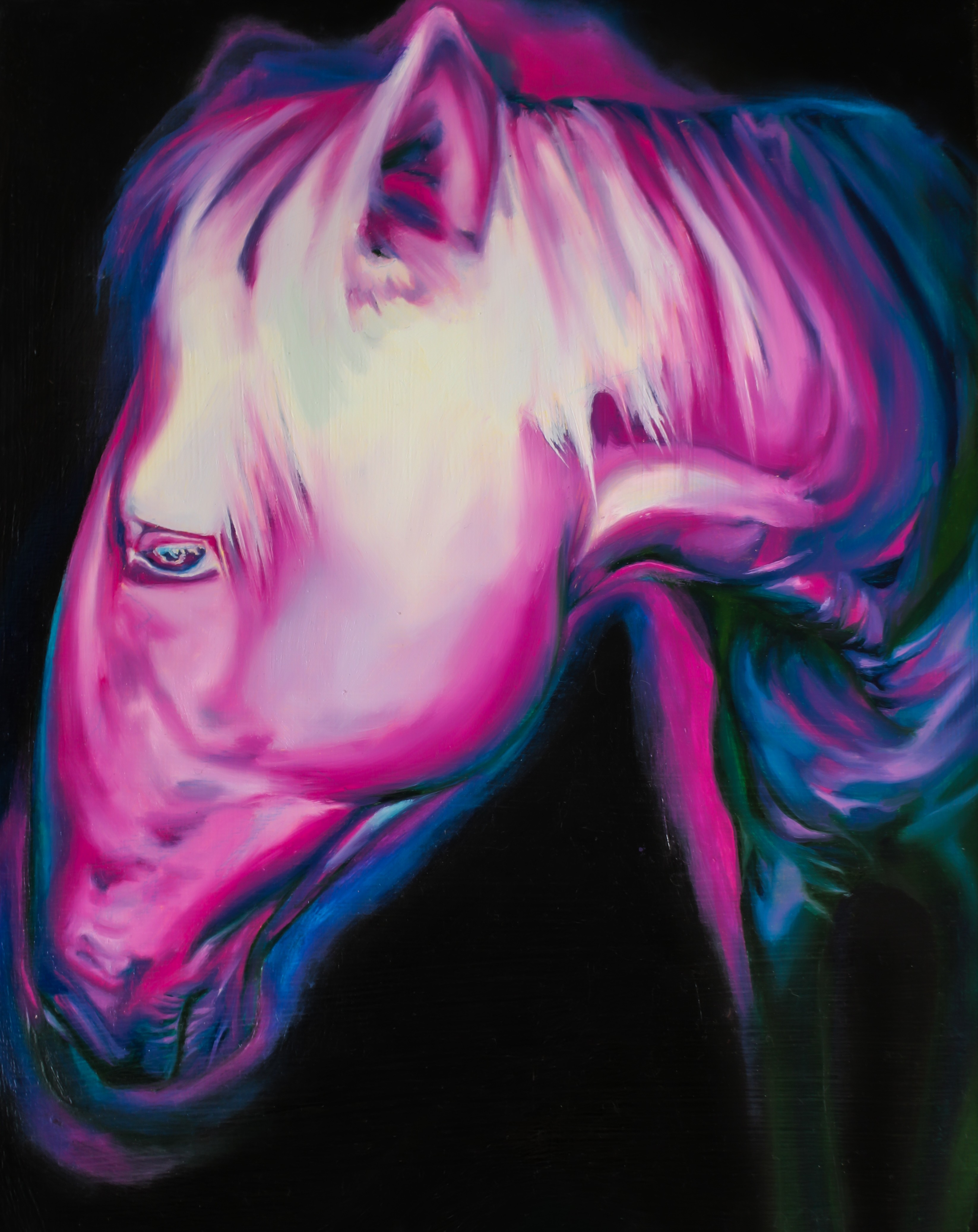 To Be Seen Softly by Sophie Coe